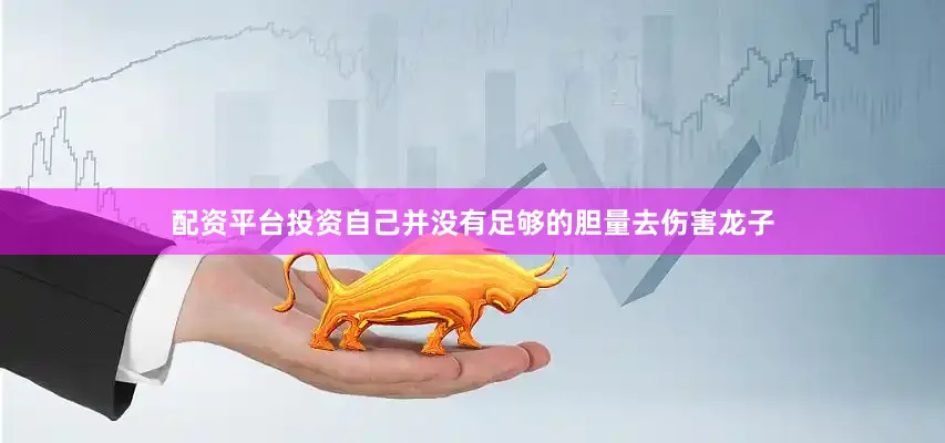 配资平台投资自己并没有足够的胆量去伤害龙子