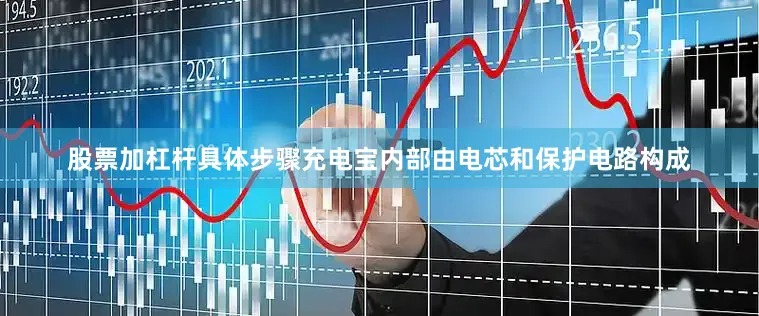 股票加杠杆具体步骤充电宝内部由电芯和保护电路构成
