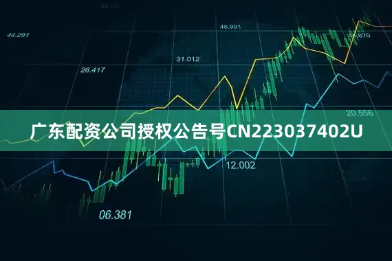 广东配资公司授权公告号CN223037402U