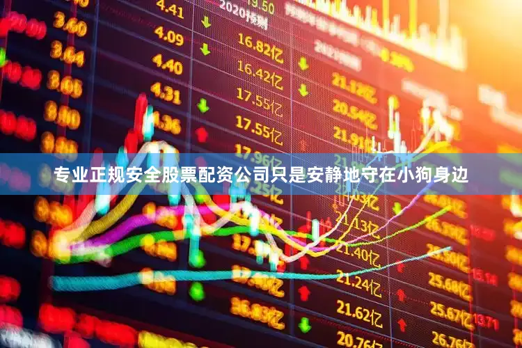 专业正规安全股票配资公司只是安静地守在小狗身边