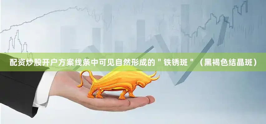 配资炒股开户方案线条中可见自然形成的＂铁锈斑＂（黑褐色结晶斑）
